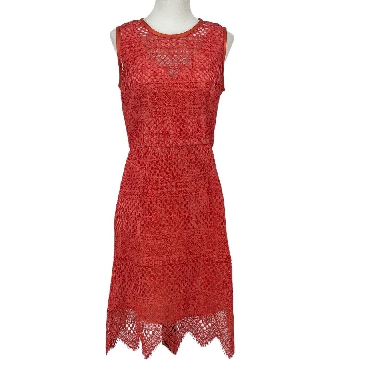 Shoshanna Orange Lace Sleeveless Sheath Dress Scallop Hem Size 2